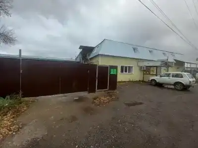 Альпийский - 1