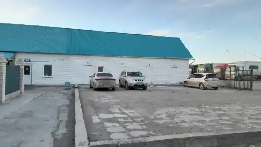 Светлана - 4