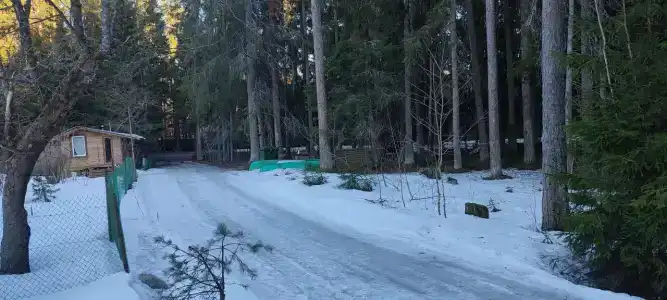 Динамо - 37