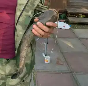 Рыбалка у Иваныча - 32