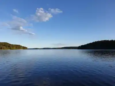 Чайка 1918 - 21