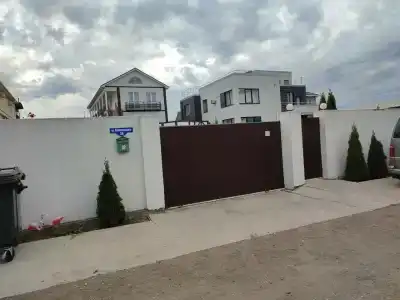 Фламинго - 1
