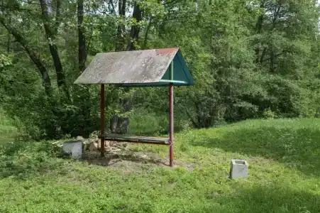 Бивер ресорт - 5