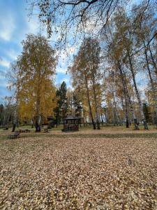 Гостиничный комплекс Лукоморье - 27