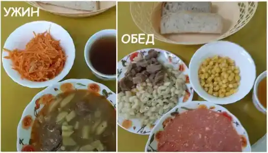 Селычка - 88