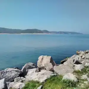 Ağva Mints - 56