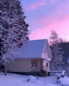 Forest Park - Tiny House - 24