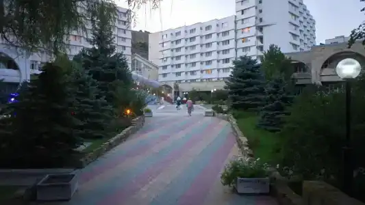 Бетта - 45