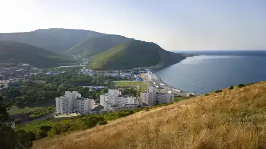 Бетта - 1