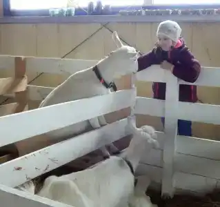 Александровский спас - 74