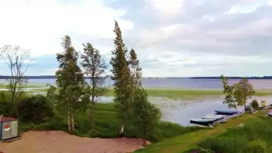 Вектор - 7