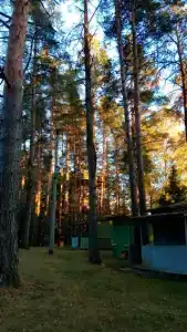 Поляна сказок - 36