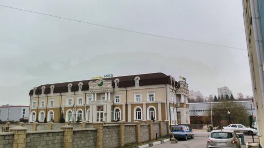 Мята - 9