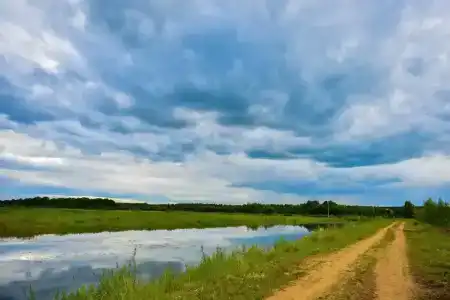 База отдыха Некрасовские Дачи - 6