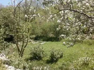 Ковчег - 0