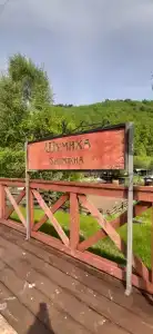Шумиха - 13