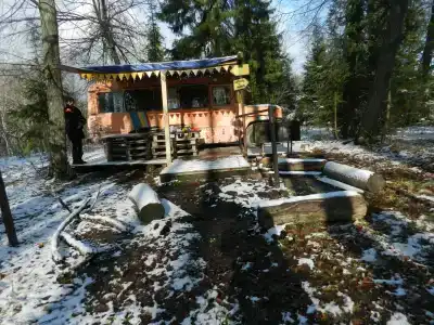 Автобус в лесу - 30