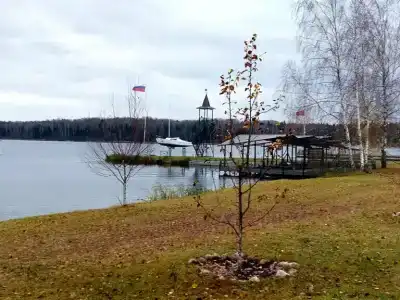 Губкинец - 86