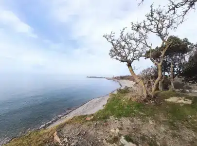 Шале Утриш - 27
