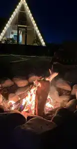 Камыши - 29