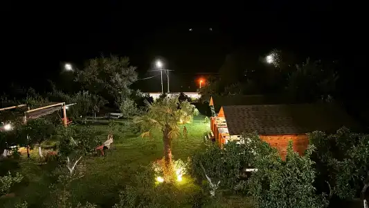 Комарова - 17