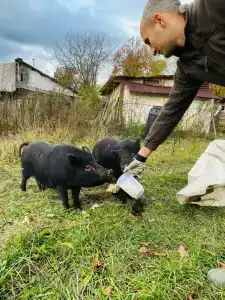 Бородино - 18