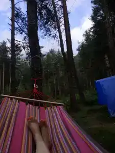 Эдельвейс - 8