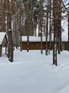 ГаммаСофт - 4