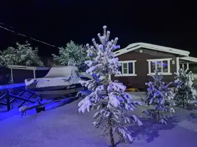 Белые Росы - 41