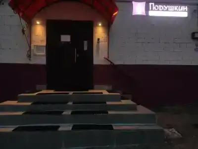 Подушкин на Дубровской - 12