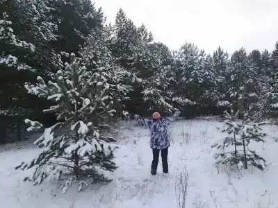 Тишина - 70