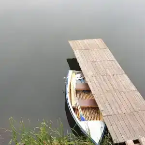 Золотая рыбка - 27