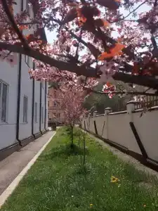 Целебные воды - 61