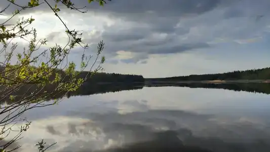 Оредеж - 75