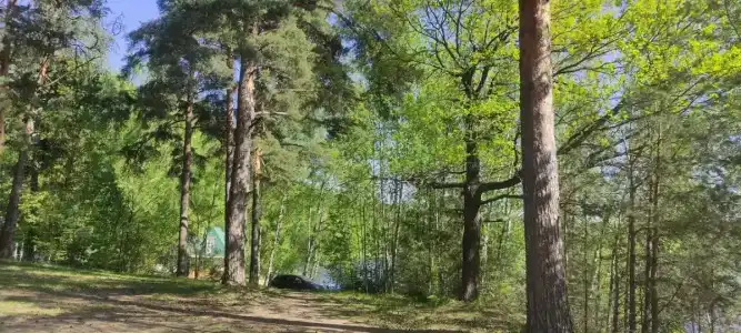 Лопотово - 35