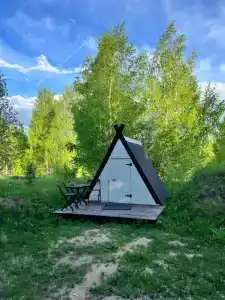Дикая Дача - 0