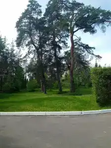 Пансионат с лечением Репное - 13