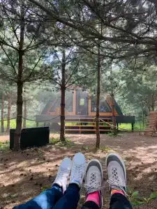 Рай в шалаше (Кусочек рая в соснах) - 22