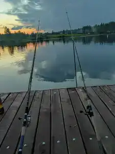 Зелёная роща - 53