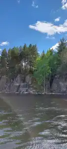 Заонего - 41