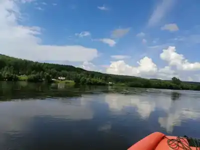 Потапыч - 1