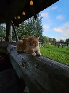 Подмосковный домик - 90