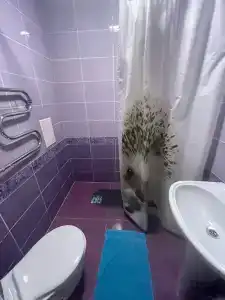 Жемчуг - 14