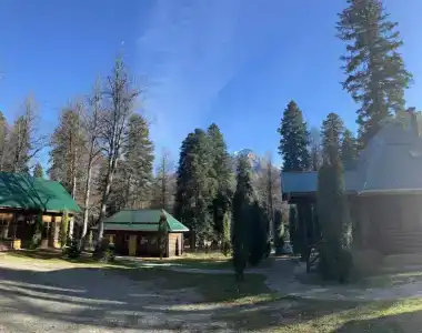 Лесной дом - 31
