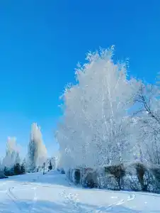Светлана - 3