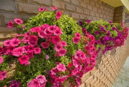 Панорама - 6