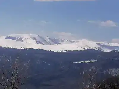 Апшеронский детский оздоровительный лагерь - 14