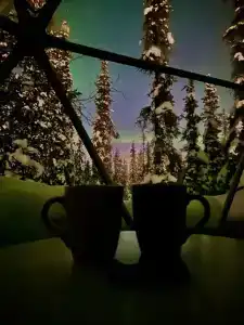 Лапландская деревня - 44