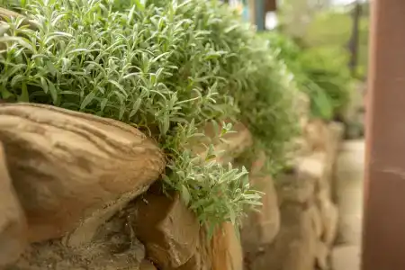 Мацеста Береговая - 36