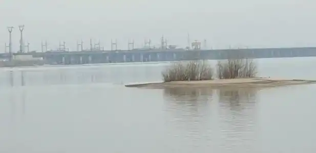 Флотраскат - 6